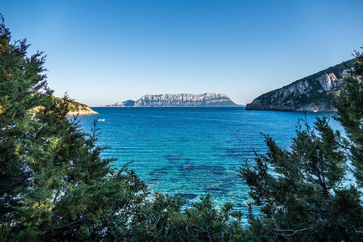 catamarano-sardegna